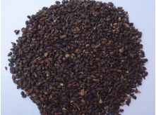 Dried Fruit